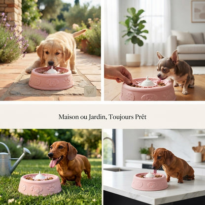 Bol Anti-Glouton Interactif pour Chien et Chat
