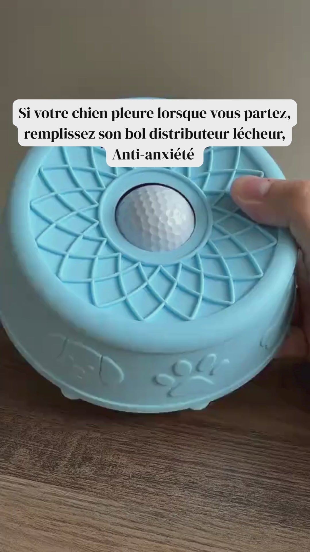 Charger la vidéo : 